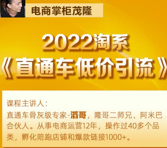 茂隆2022直通车低价引流玩法,教大家如何低投入高回报的直通车玩法-阳知网创资源库