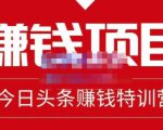 懒人领域·今日头条项目玩法,头条中视频项目,单号收益在50—500可批量-阳知网创资源库