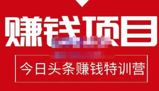 懒人领域·今日头条项目玩法,头条中视频项目,单号收益在50—500可批量-阳知网创资源库
