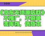 诺思星商学院京东无货源店群课:不推广,不刷单,零库存,低成本-阳知网创资源库