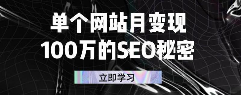 单个网站月变现100万的SEO秘密,百分百做出赚钱站点-阳知网创资源库