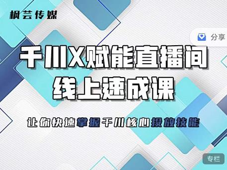 枫芸传媒-线上千川提升课，提升千川认知，提升千川投放效果-阳知网创资源库