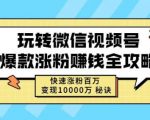 玩转微信视频号爆款涨粉赚钱全攻略,快速涨粉百万变现万元秘诀-阳知网创资源库
