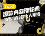 【毒舌电影合伙人亲授】抖音爆款内容涨粉课,5000万抖音大号首次披露涨粉机密-阳知网创资源库