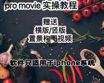 漆十二美食摄影,25节promovie实操高手课节-阳知网创资源库