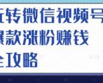 玩转微信视频号爆款涨粉赚钱全攻略,让你快速抓住流量风口,收获红利财富-阳知网创资源库