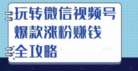 玩转微信视频号爆款涨粉赚钱全攻略,让你快速抓住流量风口,收获红利财富-阳知网创资源库