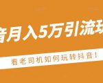 老古董·抖音月入5万引流玩法,看看老司机如何玩转抖音(附赠:抖音另类引流思路)-阳知网创资源库