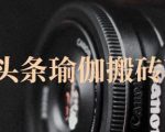 猎人社区·今日头条瑜伽搬砖项目,单号一天几十收入,可以批量操作!-阳知网创资源库