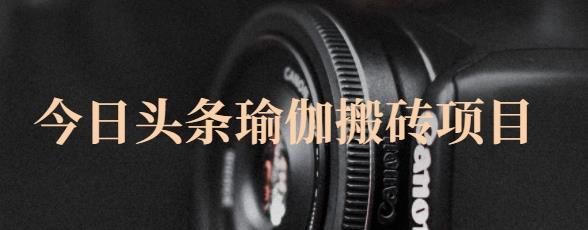 猎人社区·今日头条瑜伽搬砖项目,单号一天几十收入,可以批量操作!-阳知网创资源库