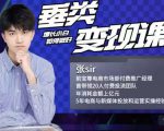 张sir·垂类变现课,抖音带货新手才看粉丝量,高手都看变现效率-阳知网创资源库