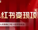 渣圈学苑·小红书虚拟资源变现项目,一起捞钱掘金价值1099元-阳知网创资源库
