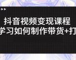 抖音短视频变现课程：带你学习如何制作带货+打造IP【41节】-阳知网创资源库