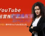 外国人眼中的YouTube该怎么玩?Elisa·YouTube运营推广实战技巧-阳知网创资源库