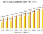 蓝海项目拼多多视频带货课,2022年入百万新风口【视频教程+软件】-阳知网创资源库