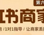 贾真-小红书商家营第6期商家版,21天带货陪跑课,让商家丢掉付流量-阳知网创资源库