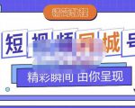 大东·短视频同城号教程,包括搭建思路,版面制作,文案内容,剪辑操作等-阳知网创资源库