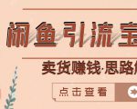 闲鱼引流宝妈粉+卖货赚钱一个月收益30000+（实操视频教程）-阳知网创资源库