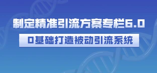 制定精准引流方案专栏6.0，0基础打造被动引流系统-阳知网创资源库