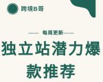 【跨境B哥】独立站潜力爆款选品推荐,测款出单率高达百分之80-阳知网创资源库