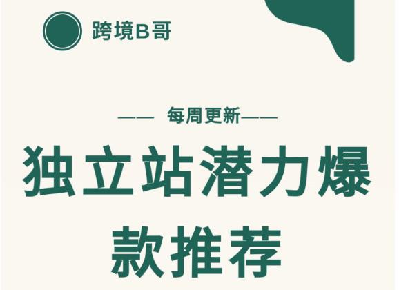 【跨境B哥】独立站潜力爆款选品推荐,测款出单率高达百分之80-阳知网创资源库