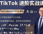大山老师TikTok进阶实战课:账号详解,流量运营,实战变现,助力你成功出海-阳知网创资源库