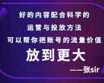 张sir账号流量增长课,告别海王流量,让你的流量更精准-阳知网创资源库