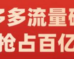阿杰·拼多多流量破局:如何打黑标,爆款的思路,拼多多流量框架,快速抢占百亿流量-阳知网创资源库