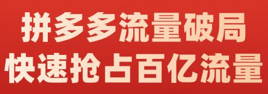 阿杰·拼多多流量破局:如何打黑标,爆款的思路,拼多多流量框架,快速抢占百亿流量-阳知网创资源库
