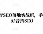 王通·抖音SEO落地实战班,手手带你做好音抖SEO-阳知网创资源库
