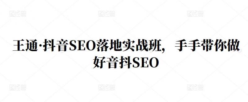 王通·抖音SEO落地实战班,手手带你做好音抖SEO-阳知网创资源库