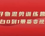 万三好物混剪训练营:小白0到1带货变现课-阳知网创资源库