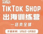 疯人院:TikTok Shop出海训练营（一店卖全球)，出海抢占全球新流量-阳知网创资源库