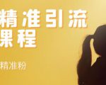 soul精准引流系列课程,每天引流100精准粉-阳知网创资源库