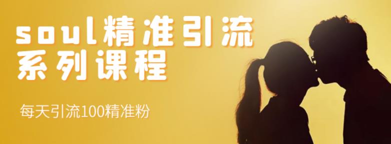 soul精准引流系列课程,每天引流100精准粉-阳知网创资源库