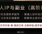 一舟一课个人IP与副业（高阶版），短视频和直播新手起号-普通人如何做好个人IP-阳知网创资源库