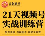 张萌21天视频号实战训练营，裂变涨粉、内容创作、视频号变现 价值298元-阳知网创资源库
