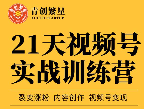 张萌21天视频号实战训练营,裂变涨粉、内容创作、视频号变现 价值298元-阳知网创资源库