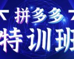 星雪教育·拼多多基础班+进阶班+突破班,用系统的学习模式快速改变现状价值3580元-阳知网创资源库