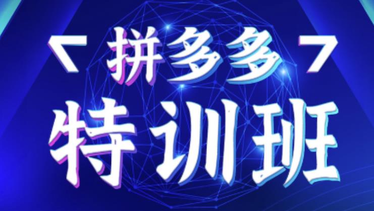 星雪教育·拼多多基础班+进阶班+突破班,用系统的学习模式快速改变现状价值3580元-阳知网创资源库