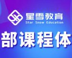 星雪教育淘系高级班，更全的运营提升方案，零基础由浅入深，店铺最新玩法-阳知网创资源库
