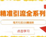 闲鱼精准引流全系列课程,每天引流100精准粉【视频课程】-阳知网创资源库