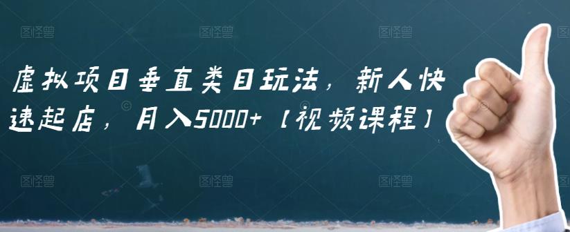 虚拟项目垂直类目玩法,新人快速起店,月入5000+【视频课程】-阳知网创资源库