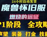 最新美服-怀旧服魔兽搬砖攻略,练级声望装备打金副本技能赚钱攻略-阳知网创资源库