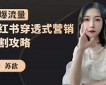 苏歆：小红书穿透式营销收割攻略，引爆流量，助你玩转小红书-阳知网创资源库