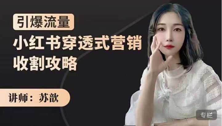 苏歆:小红书穿透式营销收割攻略,引爆流量,助你玩转小红书-阳知网创资源库