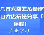 月入几万大店怎么操作？虚拟项目大店玩法分享【视频课程】-阳知网创资源库