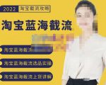2022淘宝蓝海截流攻略，淘宝蓝海截流选品上货实操讲解-阳知网创资源库