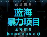 引流哥蓝海暴力躺赚项目:无需发圈无需引流无需售后,每单赚50-500(教程+线报群)-阳知网创资源库