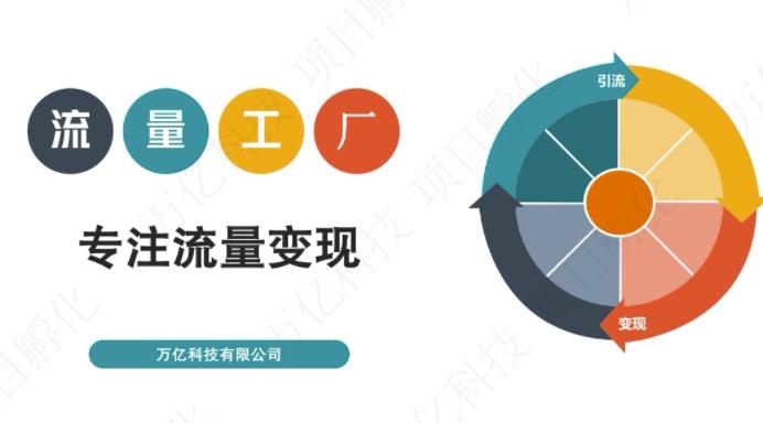 收费3980的流量工厂回粉项目，号称1个粉10元【详细玩法教程解析】-阳知网创资源库